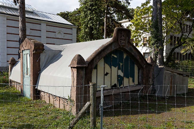 JAT (Jardin d'Agronomie Tropicale)-031